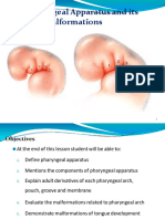 Pharyngeal Apparatusr