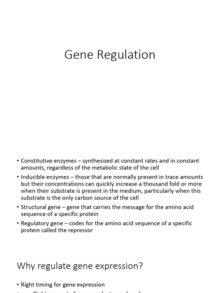 Gene Regulation PDF