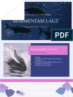 Sedimentasi Laut