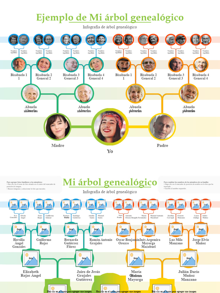 Arbol Genealogico | PDF