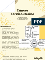 Recopilación Seminarios Ginecología y Obstetricia 2022-2 II-79-99