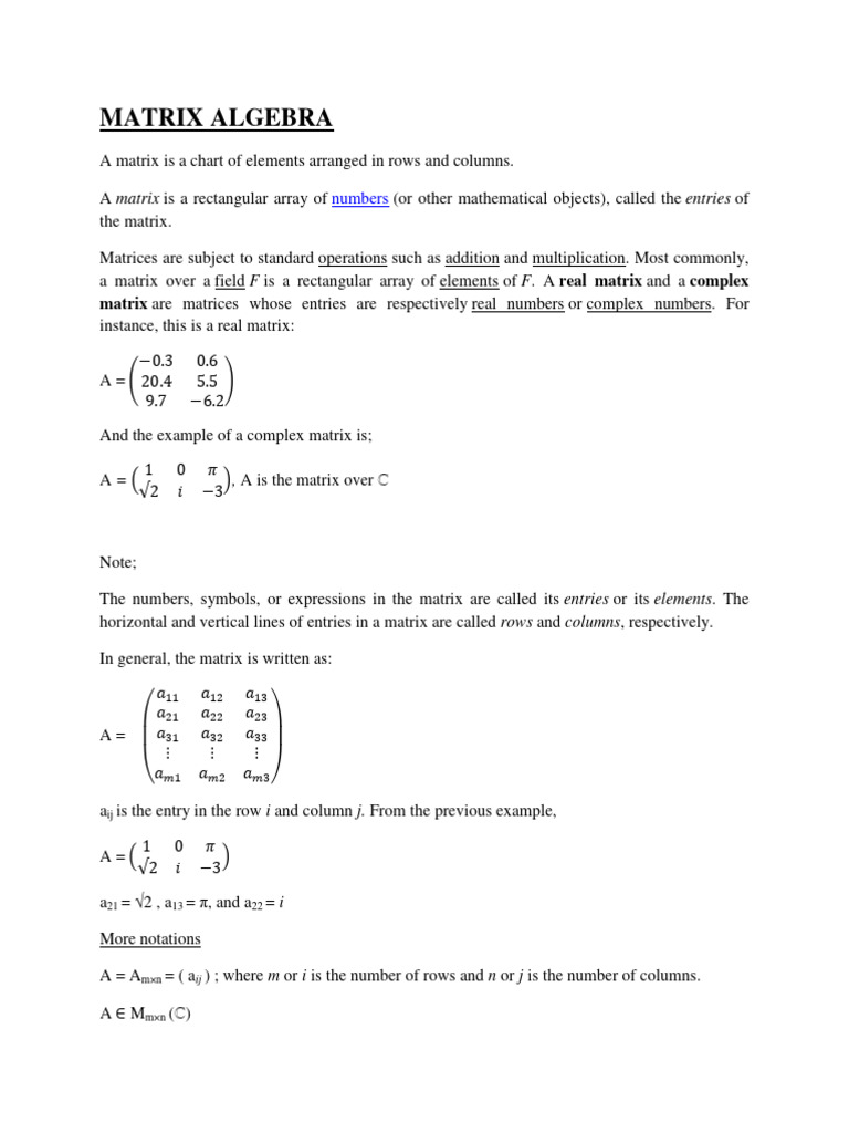 Matrix Algebra PDF Matrix (Mathematics) Determinant