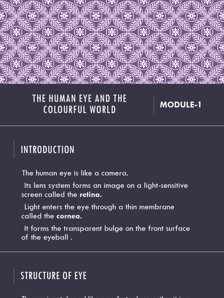 Human Eye and Colourful World PPT | PDF | Human Eye | Eye