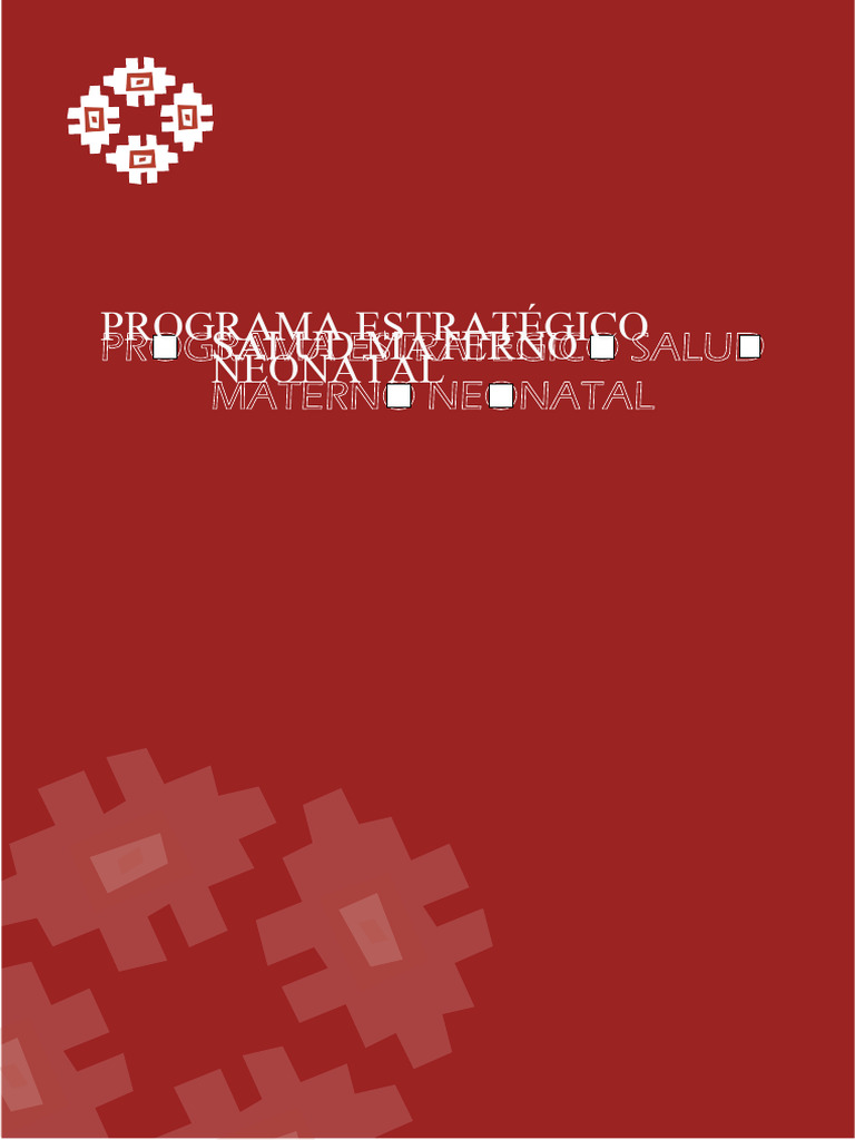 Pe0002 programa salud materno neonatal pdf muerte materna infantes