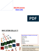 Set 4 SBL100 Stems Cells 15nov2023