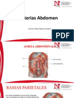 Arterias Abdominal Jeisson