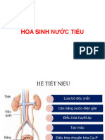 hóa sinh nước tiểu