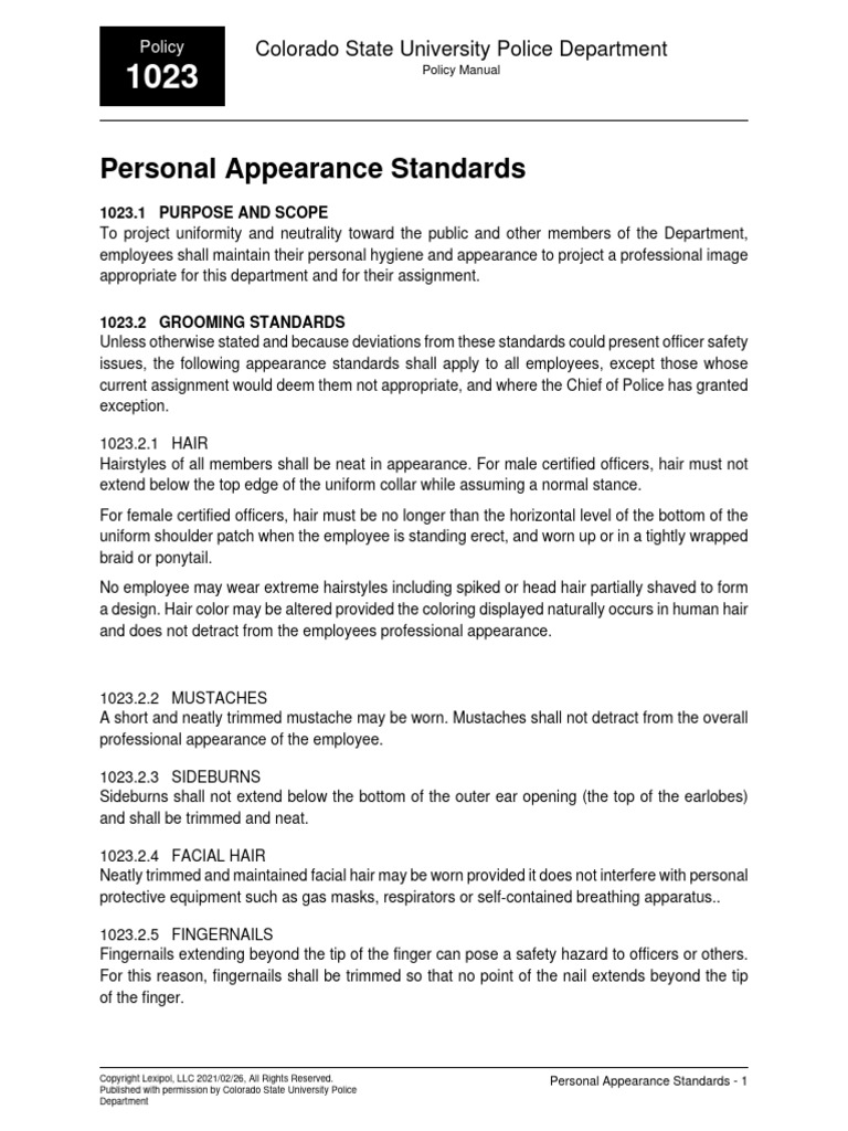 Personal Appearance Standards PDF Hair Jewellery