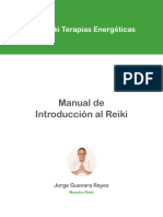 Manual Introduccion Gratis