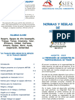 Np-2.2 Manual Normas de Seg. Sies