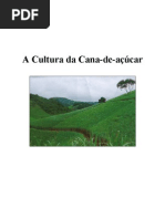 A Cultura da Cana-de-açúcar