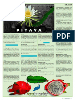 El Cultivo de La Pitaya