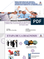 Diapositivas Rosa 29 - 01