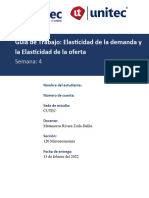 Guia de Trabajo Sobre Elasticidadb