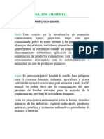 5.2 Contaminación Ambiental