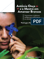 Antônia Onça Livro Completo