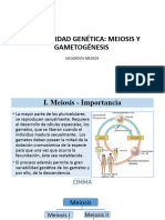 Meiosis y Gametogénesis