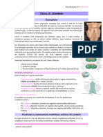 Tema 5 Psicobiología II Kora