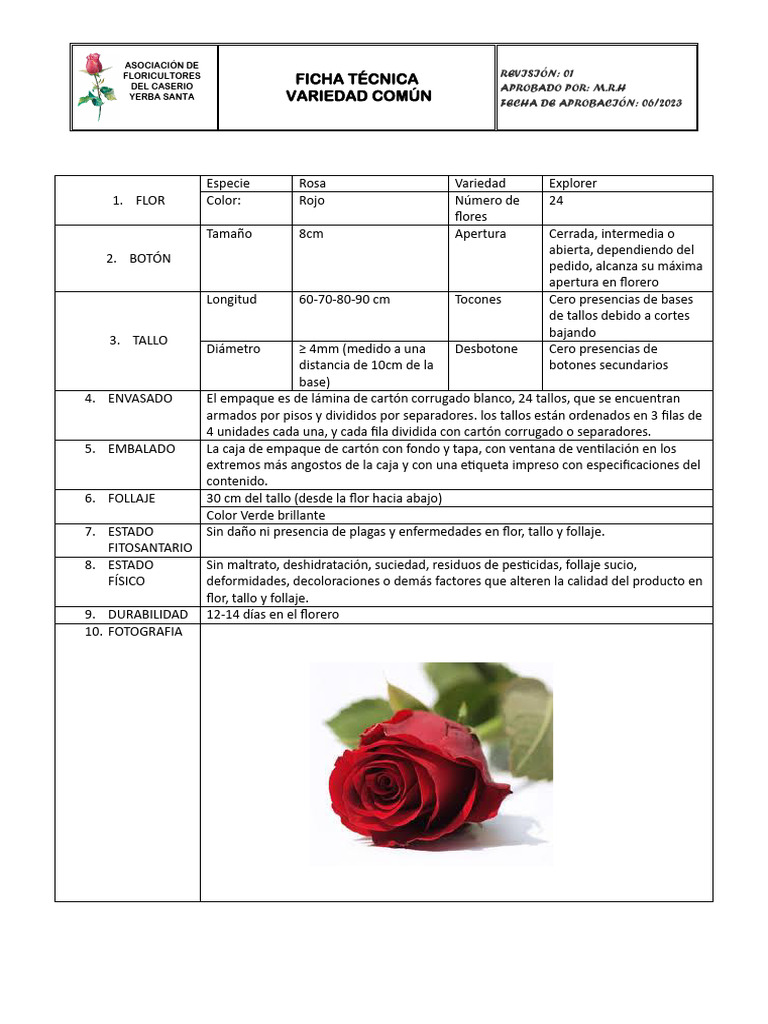 Ficha Técnica de Variedades de Rosa | PDF | Cartón
