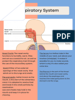 MainRespiratorySystem 20231109081722