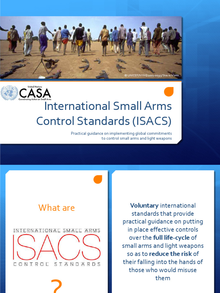 Global Standards for Small Arms Control | PDF | World Politics | United ...
