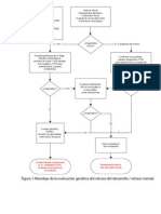 Algoritmo Evaluación Retraso Global Del Desarrollo y Retraso Mental o Discapacidad Intelectual