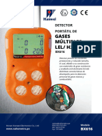 Detector de Gases Multiples BX616