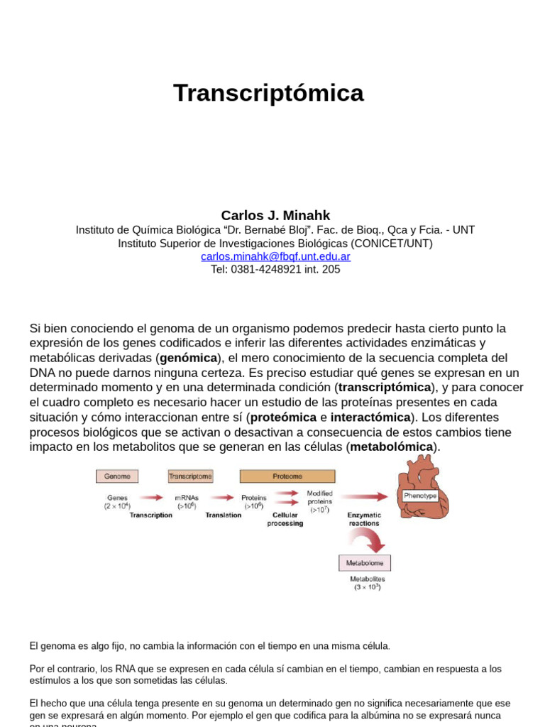 Transcriptomica 2023 | PDF | Gene | Rna