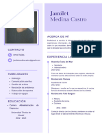 Currículum Vitae CV de Mercadotecnia Simple Morado