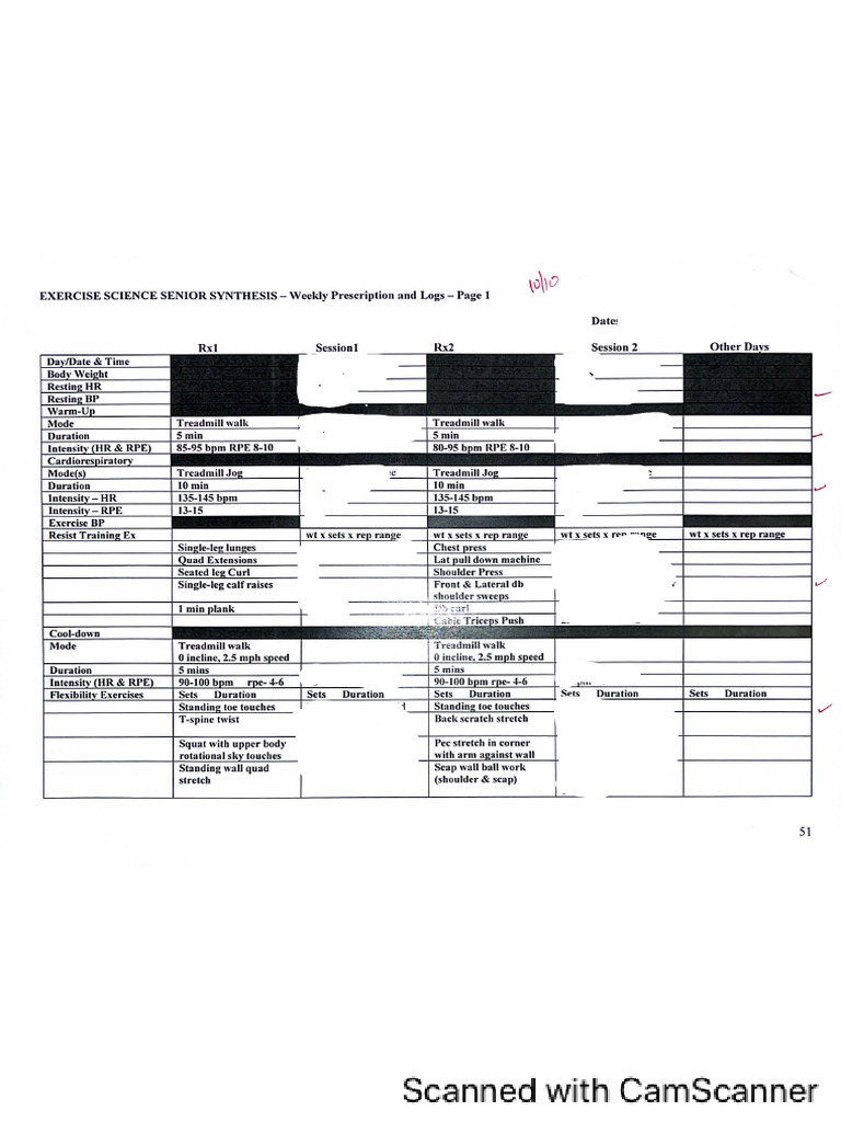 Updated weekly log pdf