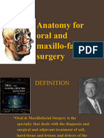 1 Anatomia