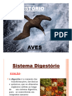 Digestório