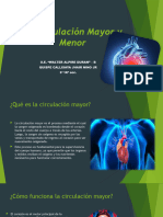 La Circulación Mayor y Menor JHAIR