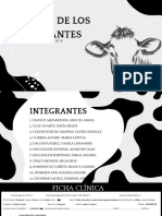 Ppts de Rumiantes