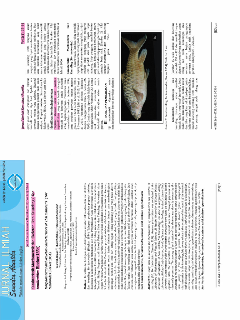 Akmal | PDF