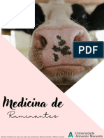 Resumo Medicina de Ruminantes