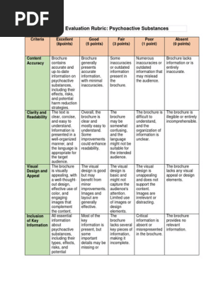 Project 3 Brochure Evaluation Rubric