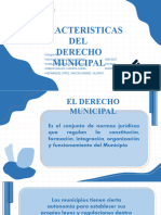 Caracteristicas Del Derecho Municipal