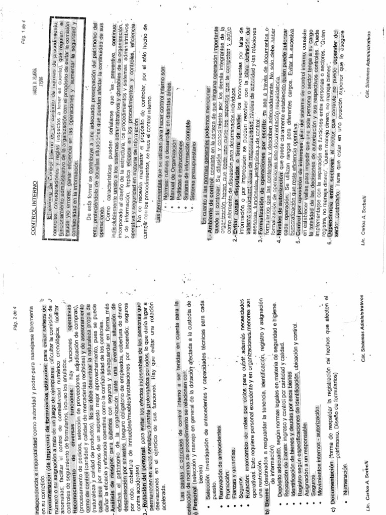 Control interno apunte sorbelli pdf
