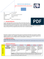 Proyecto Mesa de Luz