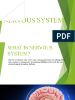 Nervous System