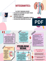 Fisiopatologia Renal