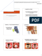 Patologias Voz