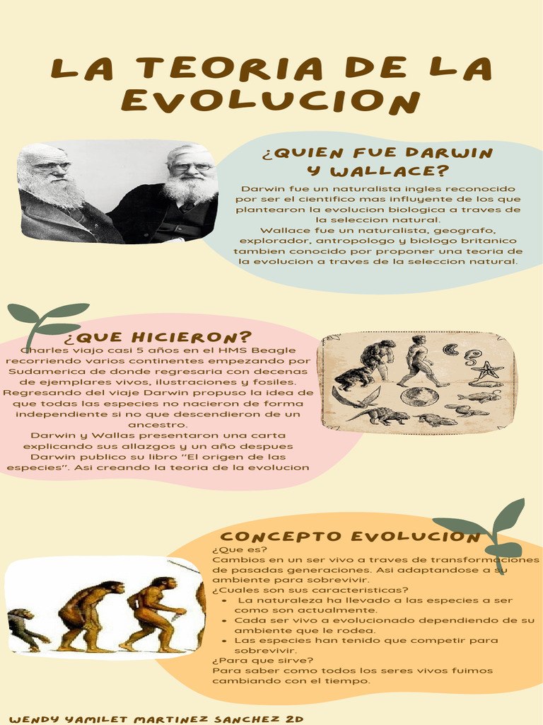 Infografia La Teoria de La Evolucion | PDF | Ciencias sociales ...