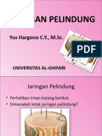 8 Jaringan Pelindung