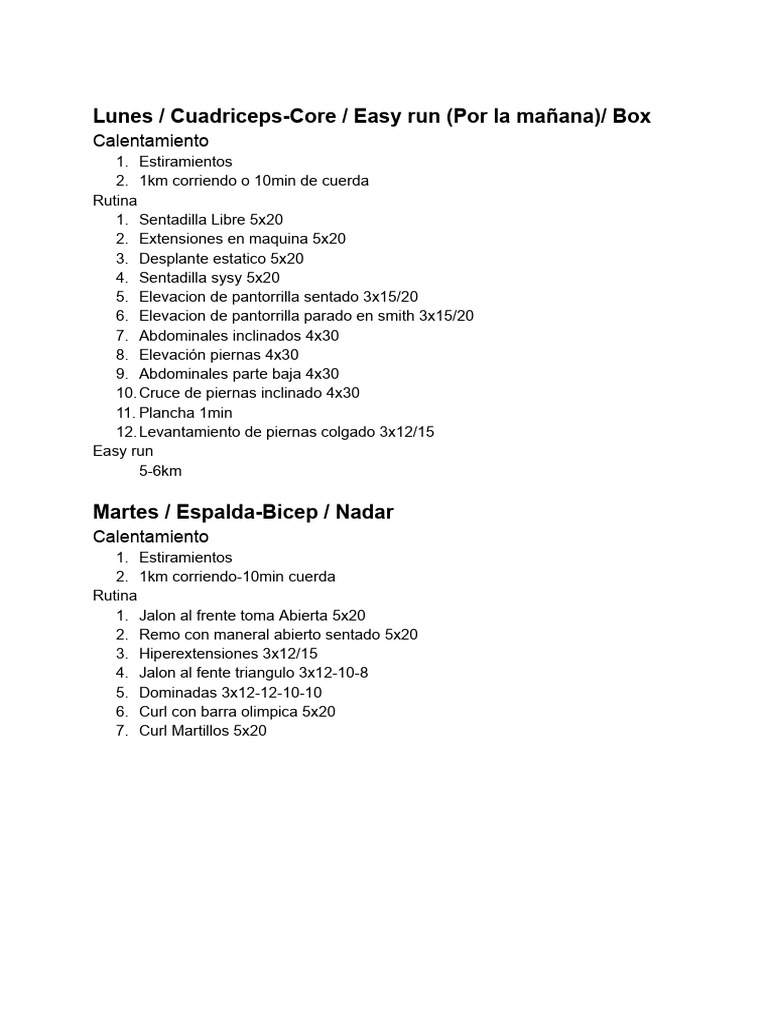 Workout split pdf