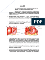 HIGADO
