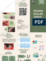 Trauma Ocular Grave