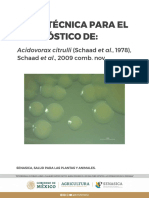 Ficha T Cnica Acidovorax Citrulli