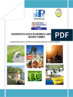 Diagnóstico Socio Económico Laboral de La Región Tumbes